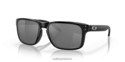 holbrook 8882X54 Oakley gafas lentes prizm negras, montura negra pulida