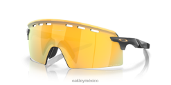 huelga del codificador 8882X769 Oakley gafas Lentes prizm 24k, marco de carbono mate.