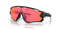 quebrador de fauces 8882X404 Oakley gafas Lentes prizm trail torch, montura negra mate